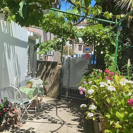 Apartman Annamaria Đảo Đảo Cres Ngoại thất bức ảnh
